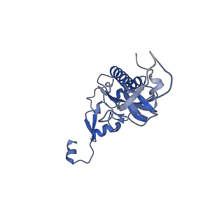 3038_3jag_I_v1-2
Structure of a mammalian ribosomal termination complex with ABCE1, eRF1(AAQ), and the UAA stop codon