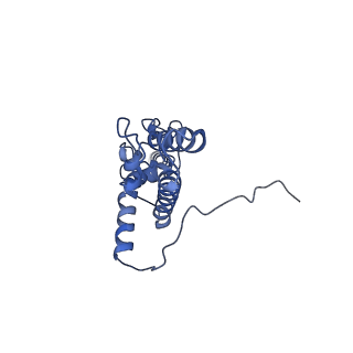 3038_3jag_JJ_v1-2
Structure of a mammalian ribosomal termination complex with ABCE1, eRF1(AAQ), and the UAA stop codon