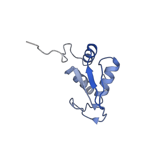 3038_3jag_KK_v1-2
Structure of a mammalian ribosomal termination complex with ABCE1, eRF1(AAQ), and the UAA stop codon
