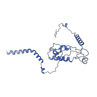 3038_3jag_L_v1-2
Structure of a mammalian ribosomal termination complex with ABCE1, eRF1(AAQ), and the UAA stop codon