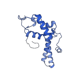 3038_3jag_NN_v1-2
Structure of a mammalian ribosomal termination complex with ABCE1, eRF1(AAQ), and the UAA stop codon