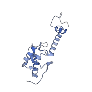 3038_3jag_SS_v1-2
Structure of a mammalian ribosomal termination complex with ABCE1, eRF1(AAQ), and the UAA stop codon