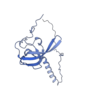 3038_3jag_T_v1-2
Structure of a mammalian ribosomal termination complex with ABCE1, eRF1(AAQ), and the UAA stop codon