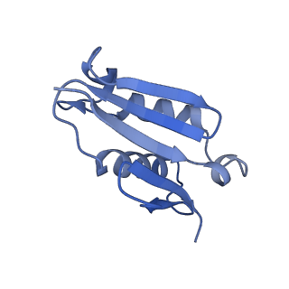 3038_3jag_U_v1-2
Structure of a mammalian ribosomal termination complex with ABCE1, eRF1(AAQ), and the UAA stop codon
