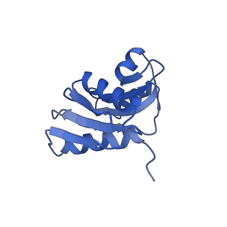 3038_3jag_WW_v1-2
Structure of a mammalian ribosomal termination complex with ABCE1, eRF1(AAQ), and the UAA stop codon