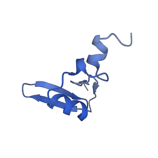 3038_3jag_W_v1-2
Structure of a mammalian ribosomal termination complex with ABCE1, eRF1(AAQ), and the UAA stop codon