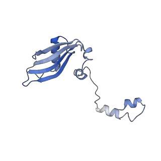 3038_3jag_YY_v1-2
Structure of a mammalian ribosomal termination complex with ABCE1, eRF1(AAQ), and the UAA stop codon