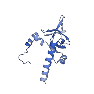 3038_3jag_Y_v1-2
Structure of a mammalian ribosomal termination complex with ABCE1, eRF1(AAQ), and the UAA stop codon