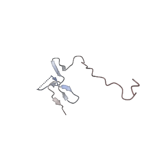 3038_3jag_ff_v1-2
Structure of a mammalian ribosomal termination complex with ABCE1, eRF1(AAQ), and the UAA stop codon