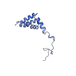 3038_3jag_i_v1-2
Structure of a mammalian ribosomal termination complex with ABCE1, eRF1(AAQ), and the UAA stop codon