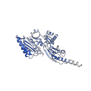 3038_3jag_ii_v1-2
Structure of a mammalian ribosomal termination complex with ABCE1, eRF1(AAQ), and the UAA stop codon