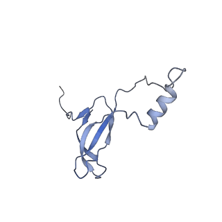 3038_3jag_o_v1-2
Structure of a mammalian ribosomal termination complex with ABCE1, eRF1(AAQ), and the UAA stop codon