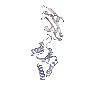 3038_3jag_s_v1-2
Structure of a mammalian ribosomal termination complex with ABCE1, eRF1(AAQ), and the UAA stop codon