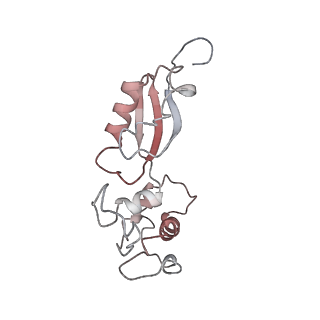 3038_3jag_t_v1-2
Structure of a mammalian ribosomal termination complex with ABCE1, eRF1(AAQ), and the UAA stop codon
