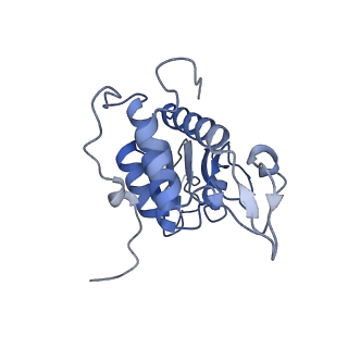3039_3jah_AA_v1-2
Structure of a mammalian ribosomal termination complex with ABCE1, eRF1(AAQ), and the UAG stop codon