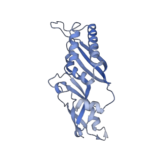 3039_3jah_BB_v1-2
Structure of a mammalian ribosomal termination complex with ABCE1, eRF1(AAQ), and the UAG stop codon