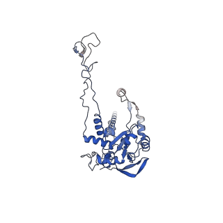 3039_3jah_C_v1-2
Structure of a mammalian ribosomal termination complex with ABCE1, eRF1(AAQ), and the UAG stop codon