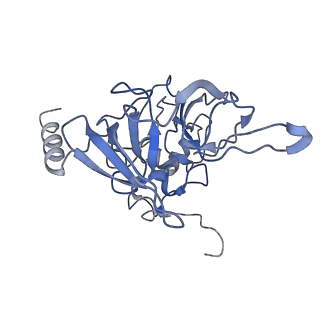 3039_3jah_EE_v1-2
Structure of a mammalian ribosomal termination complex with ABCE1, eRF1(AAQ), and the UAG stop codon
