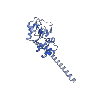 3039_3jah_F_v1-2
Structure of a mammalian ribosomal termination complex with ABCE1, eRF1(AAQ), and the UAG stop codon