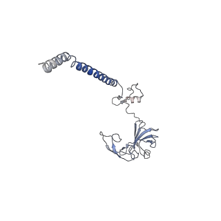 3039_3jah_GG_v1-2
Structure of a mammalian ribosomal termination complex with ABCE1, eRF1(AAQ), and the UAG stop codon