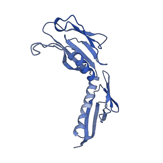 3039_3jah_H_v1-2
Structure of a mammalian ribosomal termination complex with ABCE1, eRF1(AAQ), and the UAG stop codon