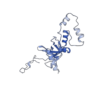 3039_3jah_II_v1-2
Structure of a mammalian ribosomal termination complex with ABCE1, eRF1(AAQ), and the UAG stop codon