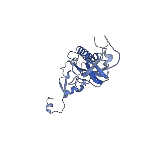3039_3jah_I_v1-2
Structure of a mammalian ribosomal termination complex with ABCE1, eRF1(AAQ), and the UAG stop codon