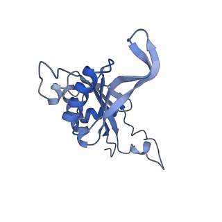 3039_3jah_J_v1-2
Structure of a mammalian ribosomal termination complex with ABCE1, eRF1(AAQ), and the UAG stop codon