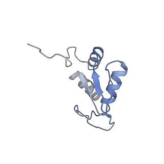 3039_3jah_KK_v1-2
Structure of a mammalian ribosomal termination complex with ABCE1, eRF1(AAQ), and the UAG stop codon