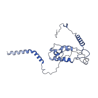 3039_3jah_L_v1-2
Structure of a mammalian ribosomal termination complex with ABCE1, eRF1(AAQ), and the UAG stop codon
