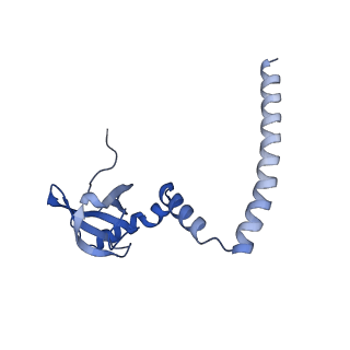 3039_3jah_M_v1-2
Structure of a mammalian ribosomal termination complex with ABCE1, eRF1(AAQ), and the UAG stop codon