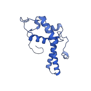 3039_3jah_NN_v1-2
Structure of a mammalian ribosomal termination complex with ABCE1, eRF1(AAQ), and the UAG stop codon