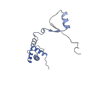 3039_3jah_RR_v1-2
Structure of a mammalian ribosomal termination complex with ABCE1, eRF1(AAQ), and the UAG stop codon