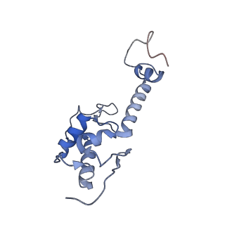 3039_3jah_SS_v1-2
Structure of a mammalian ribosomal termination complex with ABCE1, eRF1(AAQ), and the UAG stop codon