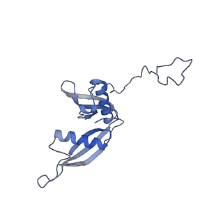 3039_3jah_S_v1-2
Structure of a mammalian ribosomal termination complex with ABCE1, eRF1(AAQ), and the UAG stop codon