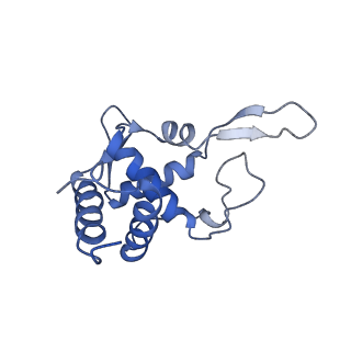 3039_3jah_TT_v1-2
Structure of a mammalian ribosomal termination complex with ABCE1, eRF1(AAQ), and the UAG stop codon