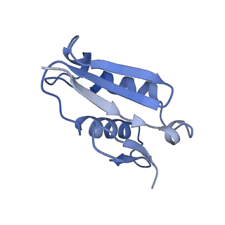 3039_3jah_U_v1-2
Structure of a mammalian ribosomal termination complex with ABCE1, eRF1(AAQ), and the UAG stop codon