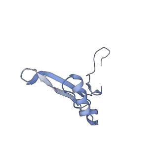 3039_3jah_VV_v1-2
Structure of a mammalian ribosomal termination complex with ABCE1, eRF1(AAQ), and the UAG stop codon