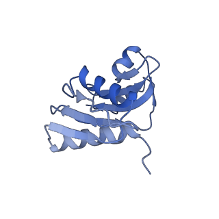 3039_3jah_WW_v1-2
Structure of a mammalian ribosomal termination complex with ABCE1, eRF1(AAQ), and the UAG stop codon