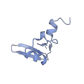 3039_3jah_W_v1-2
Structure of a mammalian ribosomal termination complex with ABCE1, eRF1(AAQ), and the UAG stop codon
