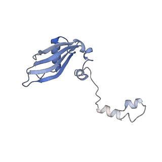 3039_3jah_YY_v1-2
Structure of a mammalian ribosomal termination complex with ABCE1, eRF1(AAQ), and the UAG stop codon