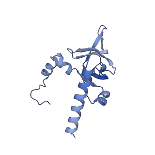3039_3jah_Y_v1-2
Structure of a mammalian ribosomal termination complex with ABCE1, eRF1(AAQ), and the UAG stop codon