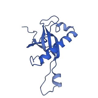 3039_3jah_Z_v1-2
Structure of a mammalian ribosomal termination complex with ABCE1, eRF1(AAQ), and the UAG stop codon