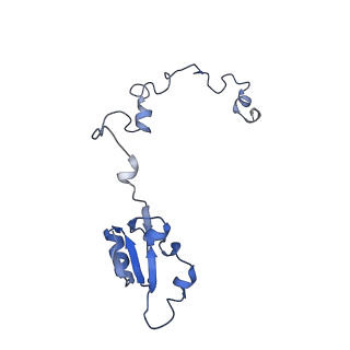 3039_3jah_a_v1-2
Structure of a mammalian ribosomal termination complex with ABCE1, eRF1(AAQ), and the UAG stop codon