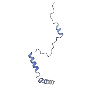 3039_3jah_b_v1-2
Structure of a mammalian ribosomal termination complex with ABCE1, eRF1(AAQ), and the UAG stop codon