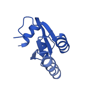 3039_3jah_c_v1-2
Structure of a mammalian ribosomal termination complex with ABCE1, eRF1(AAQ), and the UAG stop codon
