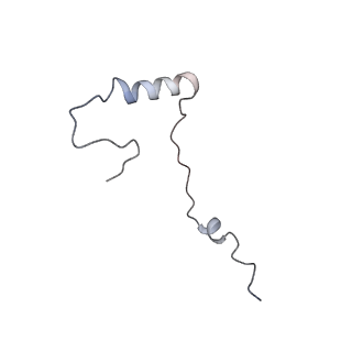 3039_3jah_ee_v1-2
Structure of a mammalian ribosomal termination complex with ABCE1, eRF1(AAQ), and the UAG stop codon