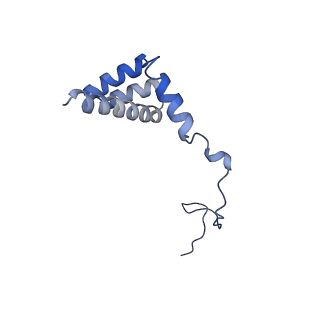 3039_3jah_i_v1-2
Structure of a mammalian ribosomal termination complex with ABCE1, eRF1(AAQ), and the UAG stop codon