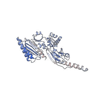 3039_3jah_ii_v1-2
Structure of a mammalian ribosomal termination complex with ABCE1, eRF1(AAQ), and the UAG stop codon