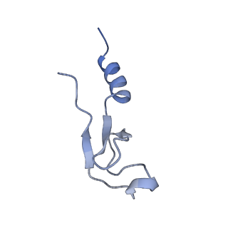 3039_3jah_m_v1-2
Structure of a mammalian ribosomal termination complex with ABCE1, eRF1(AAQ), and the UAG stop codon